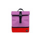 HEADSTER COLOURBLOCK LUNCH BOX - ORCHID