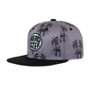 HEADSTER 'ENDLESS SUMMER' SNAPBACK