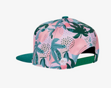 HEADSTER 'CORAL SPRINGS' SNAPBACK