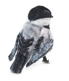 FOLKMANIS MINI CHICKADEE FINGER PUPPET